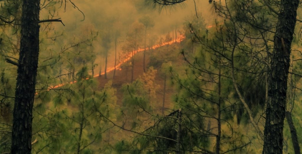 skogsbrand vma